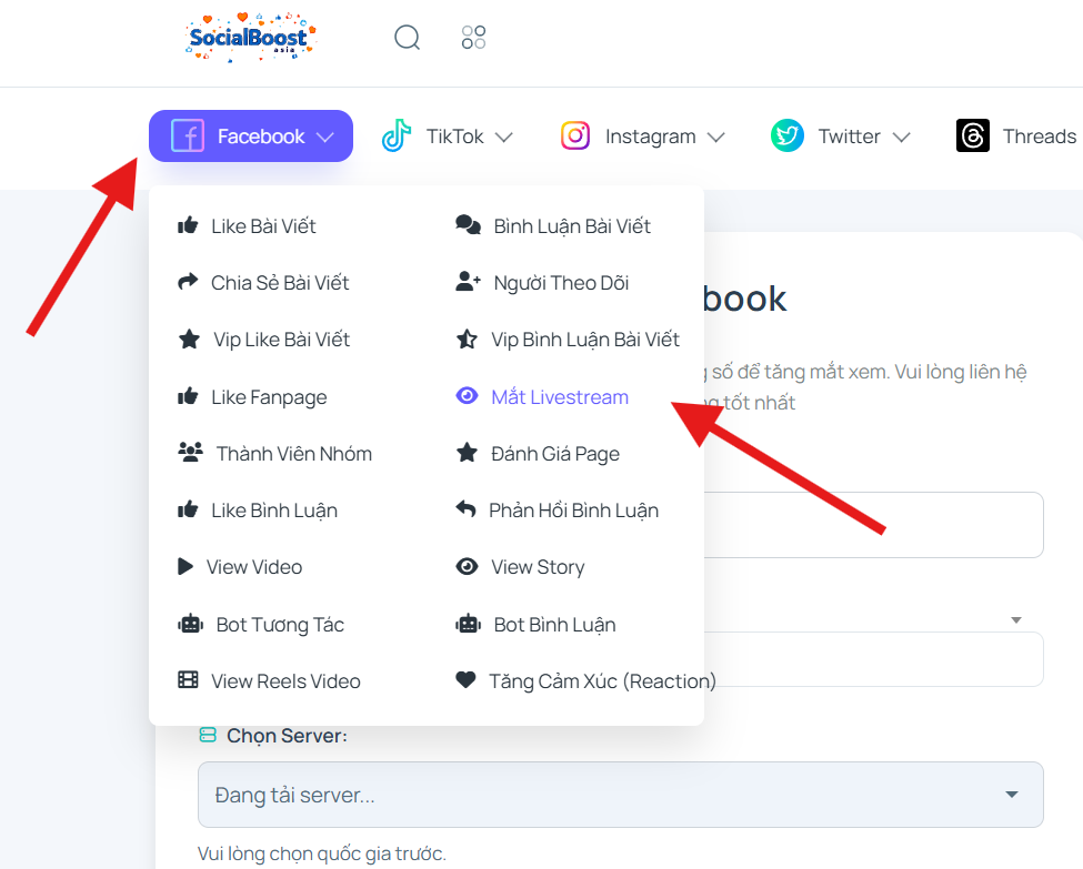 Social Boost Asia website - Facebook Live view service