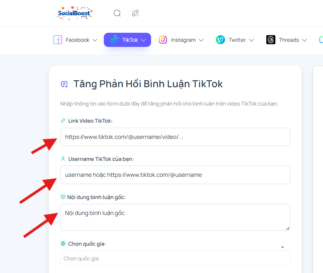 Bước 2: Nhập thông tin video và bình luận TikTok