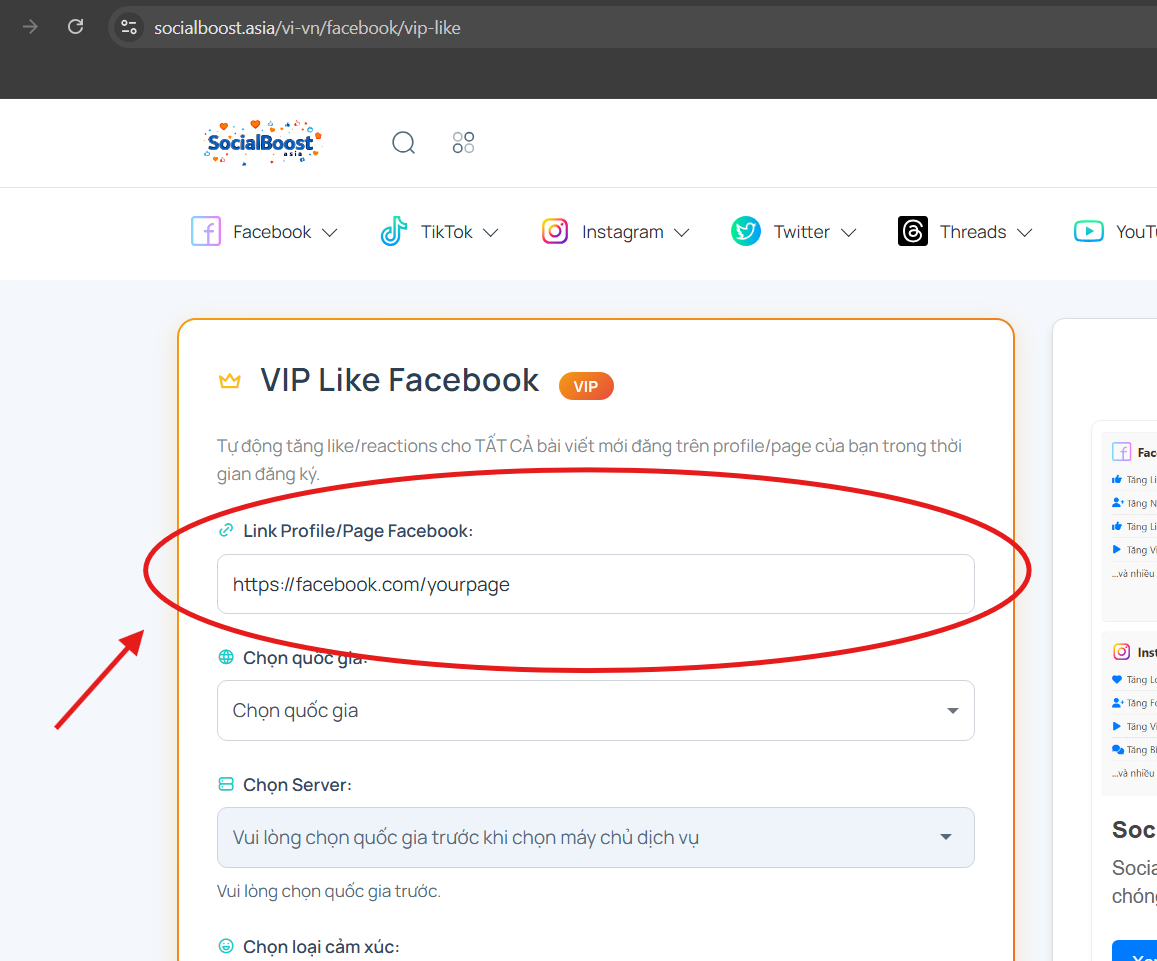 Bước 3: Dán link profile cá nhân hoặc fanpage Facebook
