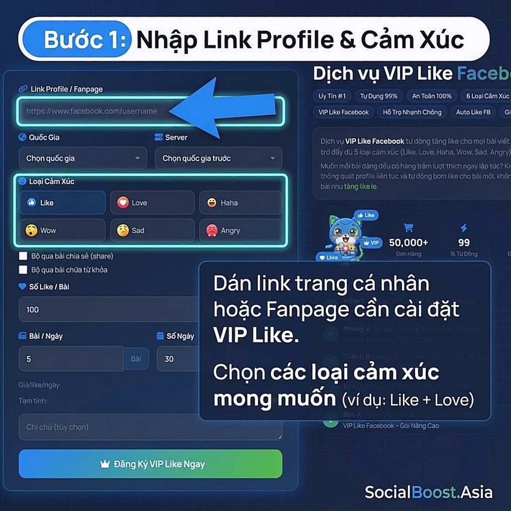 Hướng dẫn cài đặt VIP Like Facebook Bước 2 - Nhập link và chọn cảm xúc