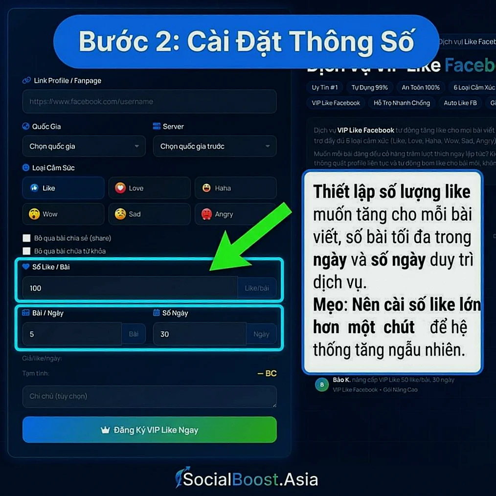 Hướng dẫn cài đặt VIP Like Facebook Bước 3 - Cài đặt thông số