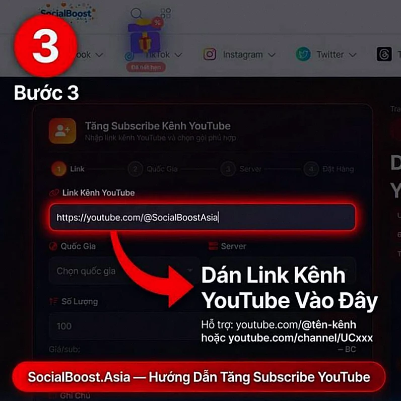 Hướng dẫn tăng subscribe YouTube bước 3 - Dán link kênh YouTube vào form đặt hàng