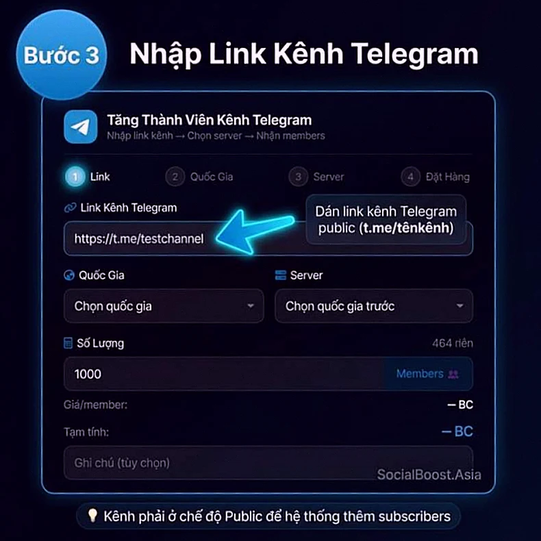 Bước 3 — Nhập link kênh Telegram public tại SocialBoost Asia