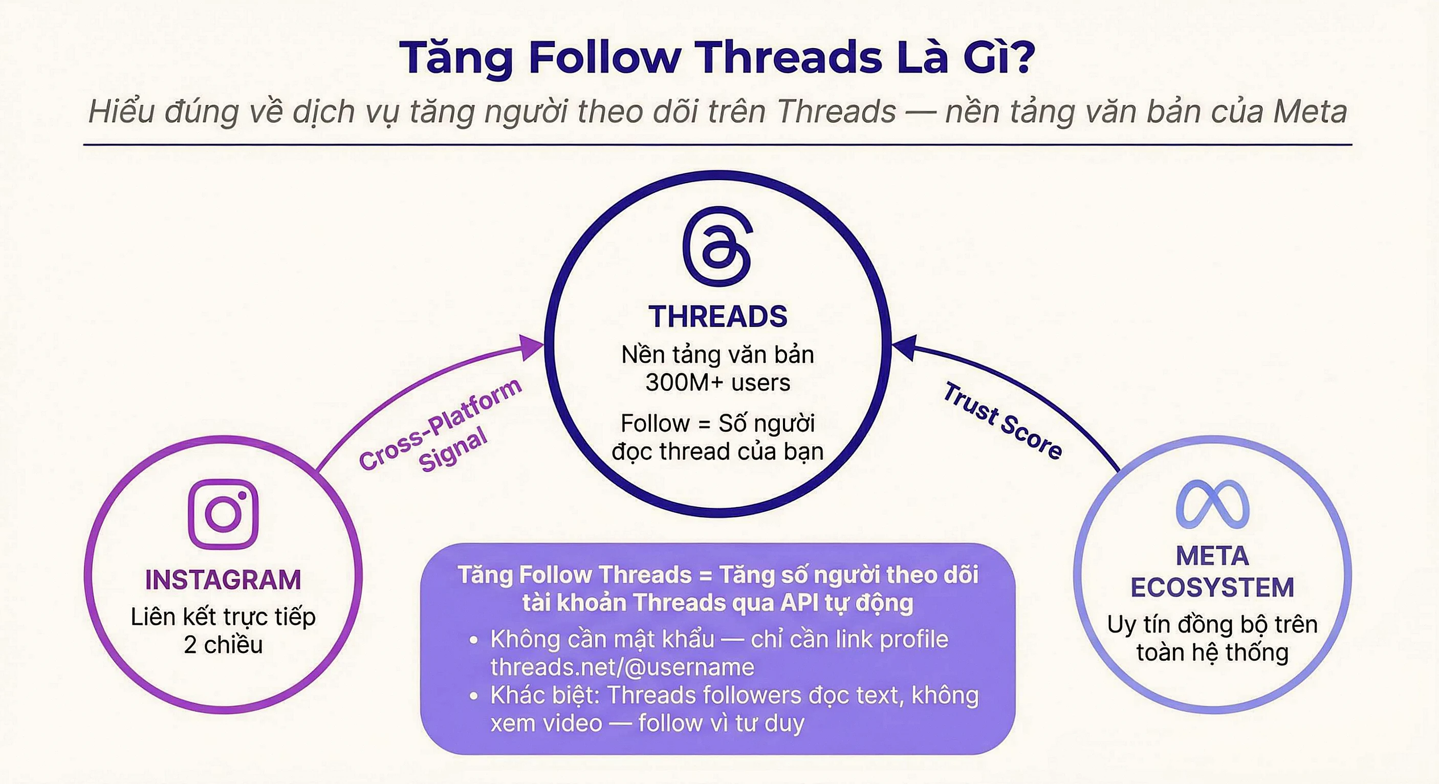 Tăng follow Threads là gì - Hệ sinh thái Threads Instagram Meta