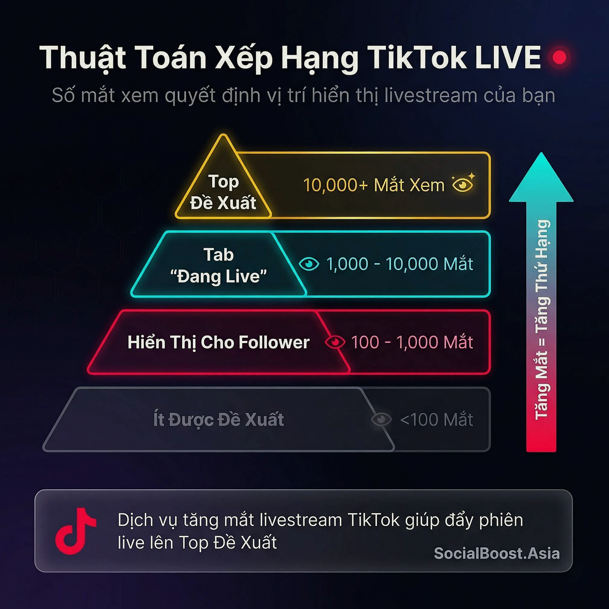 Thuật Toán Xếp Hạng TikTok LIVE - Số Mắt Xem Quyết Định Vị Trí Hiển Thị Livestream