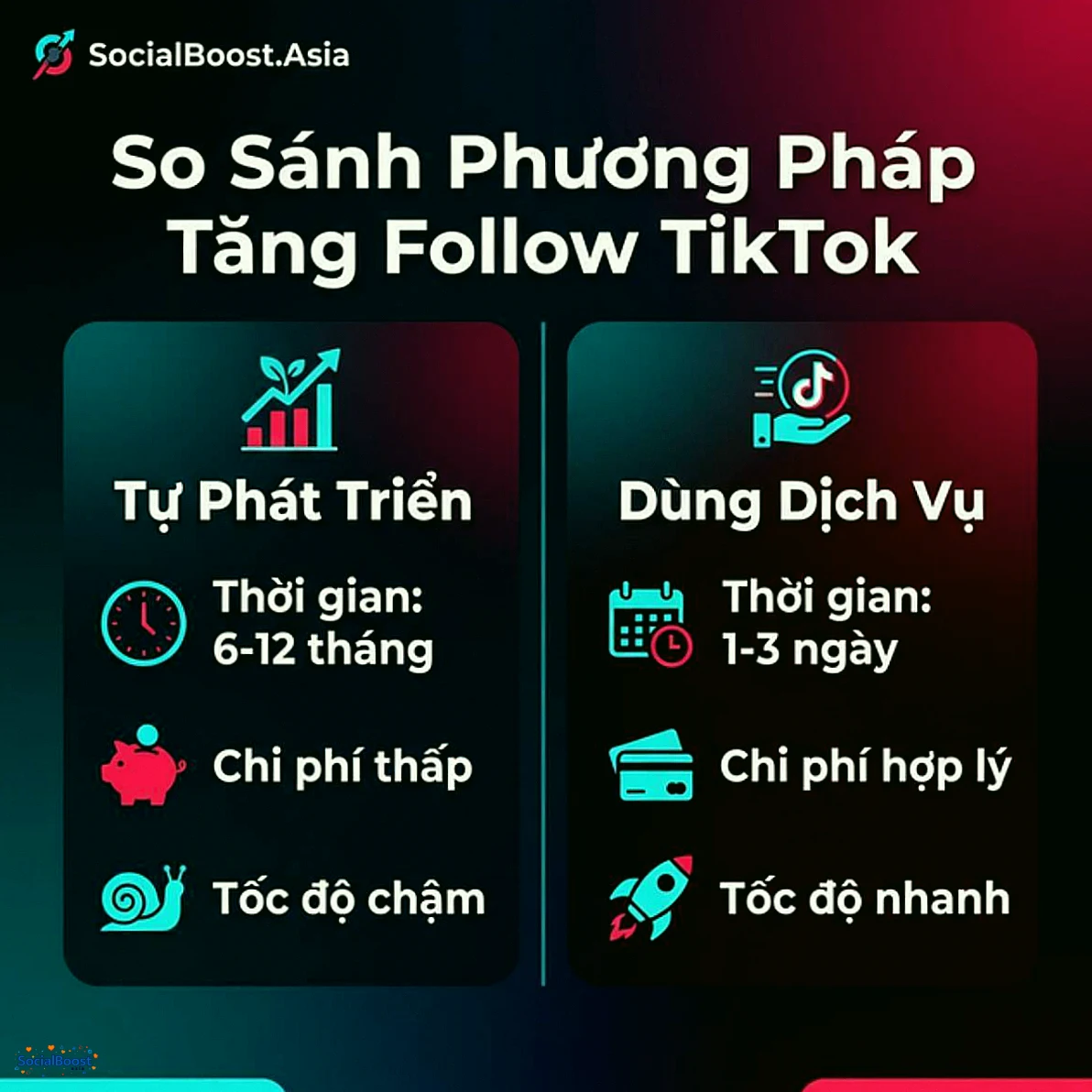 So sánh phương pháp tăng follow TikTok - Tự phát triển vs dùng dịch vụ
