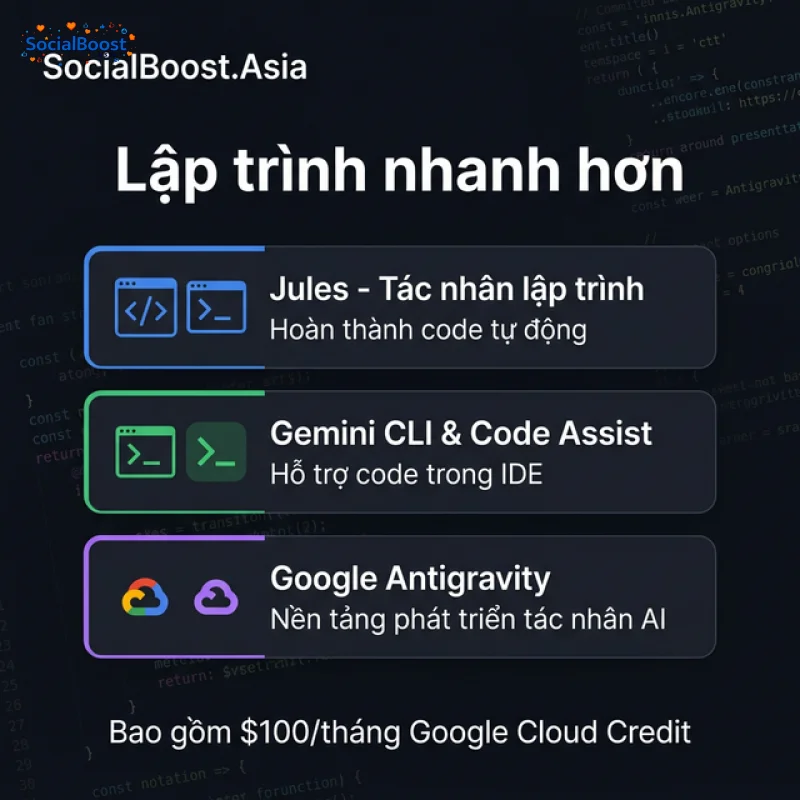 Ảnh 6